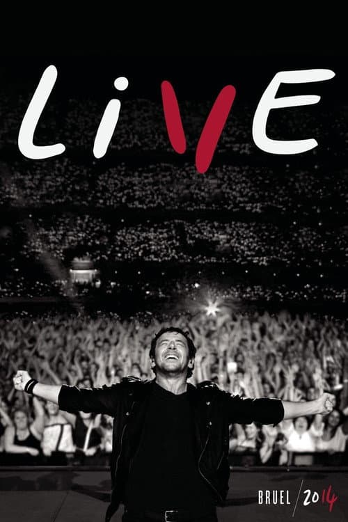 Il était une fois... Patrick Bruel poster