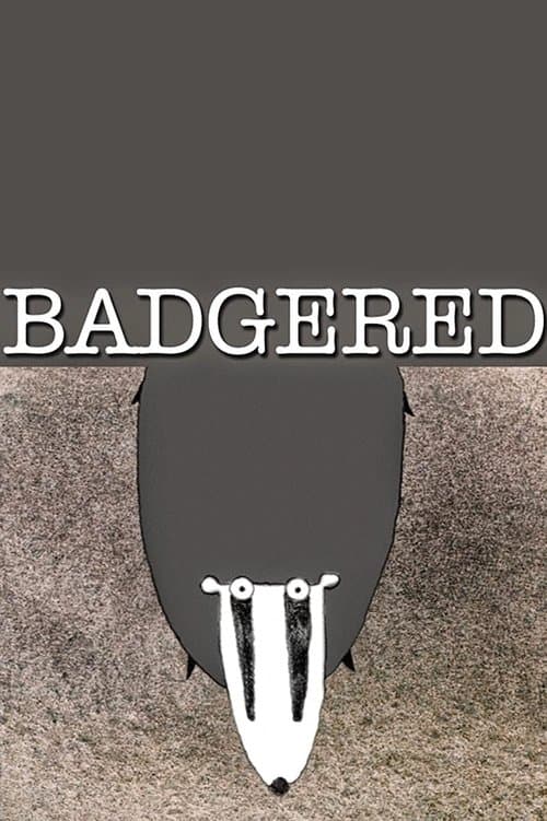 Badgered poster