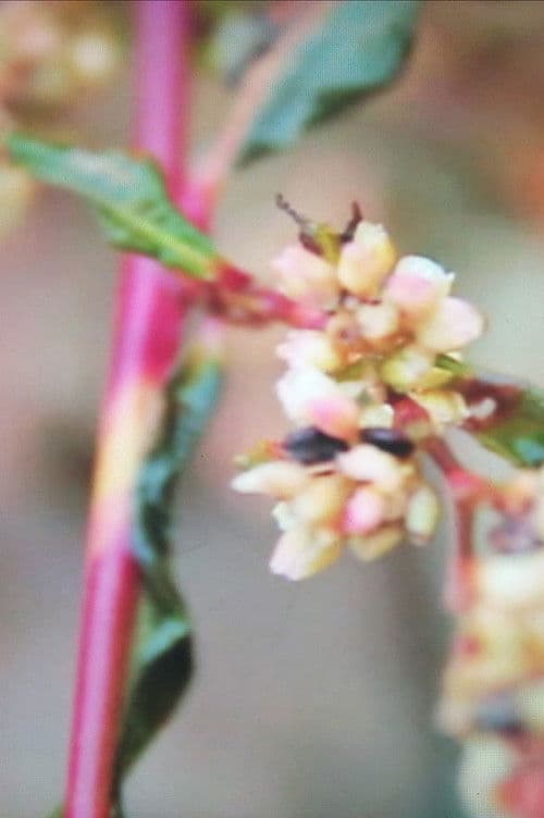 Hunting Confessions poster