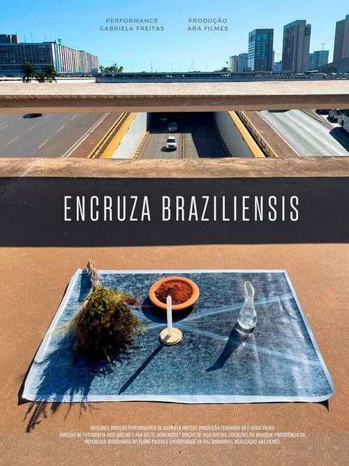 Encruza Braziliensis poster