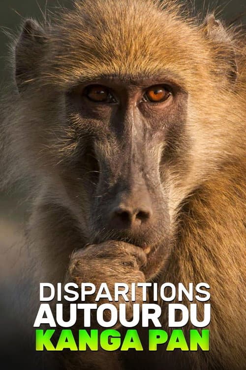 Disparitions autour du Kanga Pan poster
