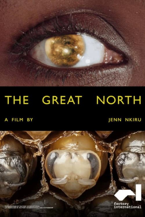 The Great North poster