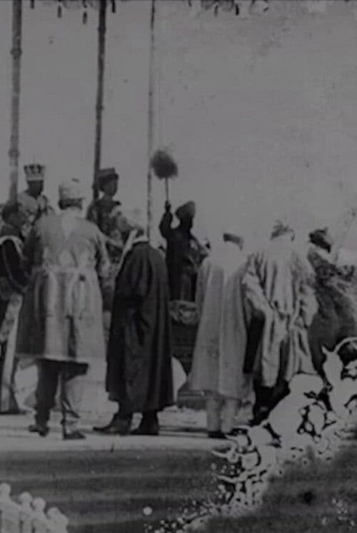 Delhi Durbar poster
