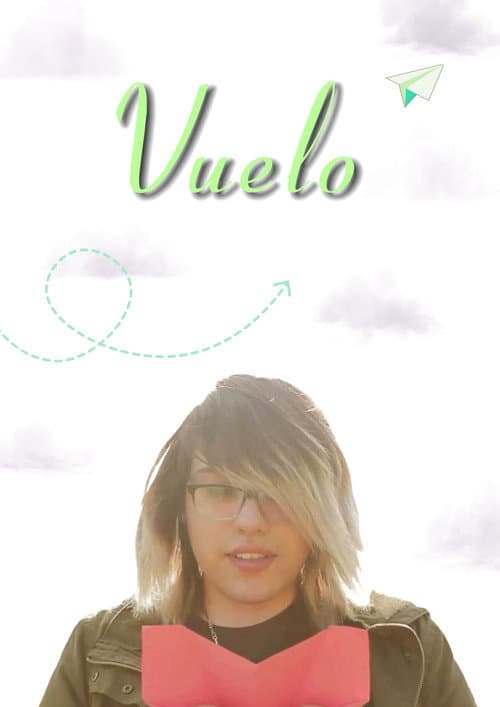 Vuelo poster