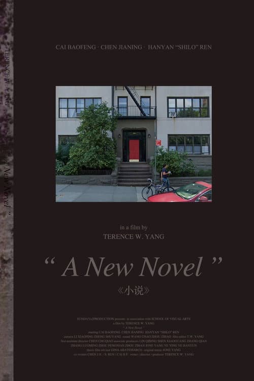 A New Novel poster