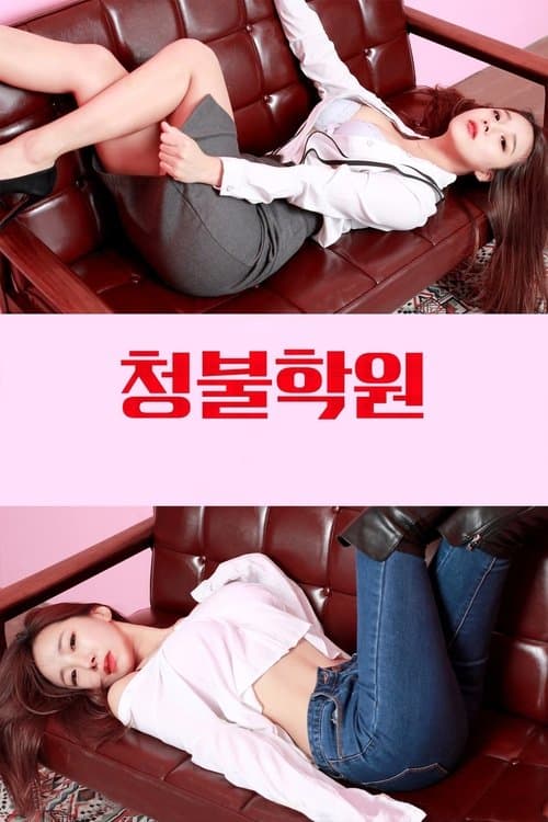 Adult Only Institute poster