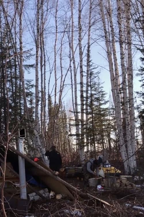 K'i Tah Amongst the Birch poster