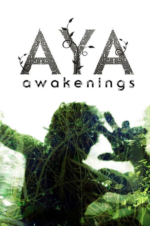 Aya: Awakenings poster