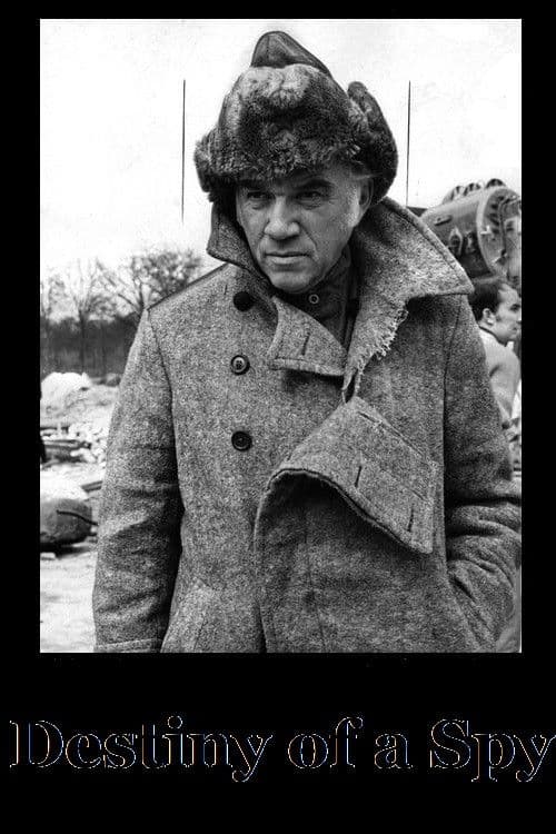 Destiny of a Spy poster