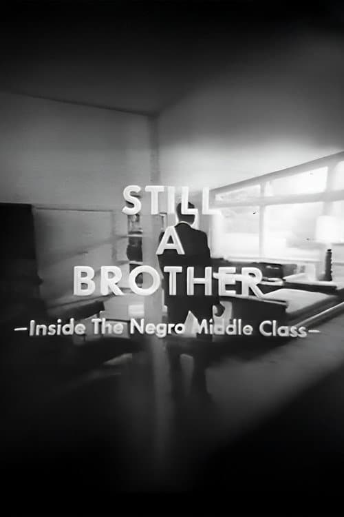 Still A Brother: Inside the Negro Middle Class poster