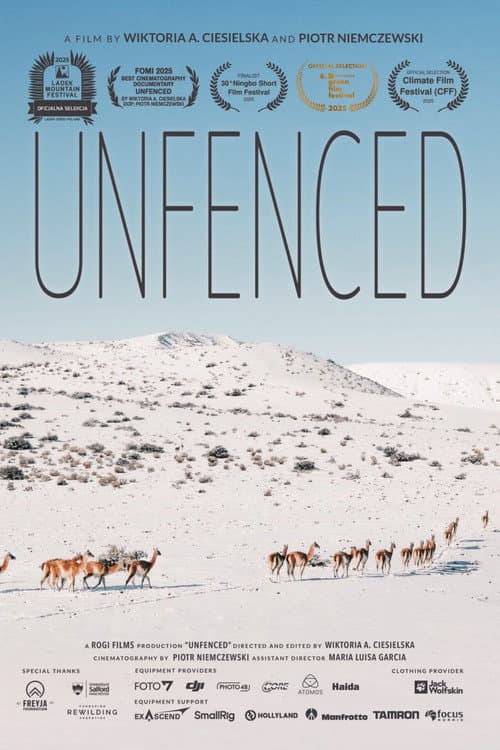 Unfenced poster