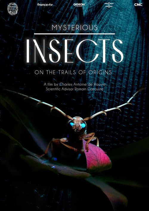 Mysterious Origins of Insects poster