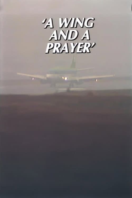 A Wing and a Prayer – The Story of Knock Airport poster