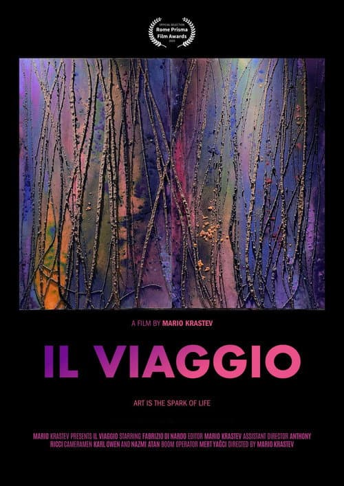 IL VIAGGIO poster