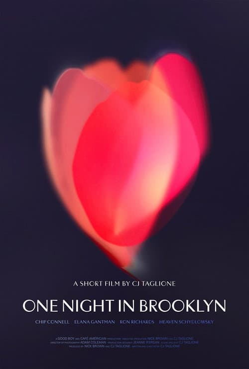 One Night in Brooklyn poster
