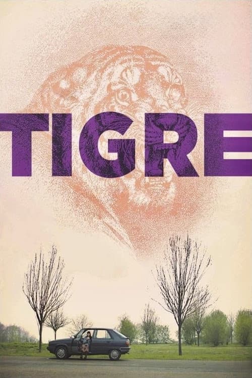 Tiger poster
