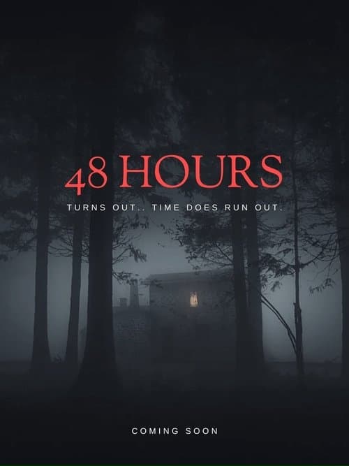 48 Hours poster