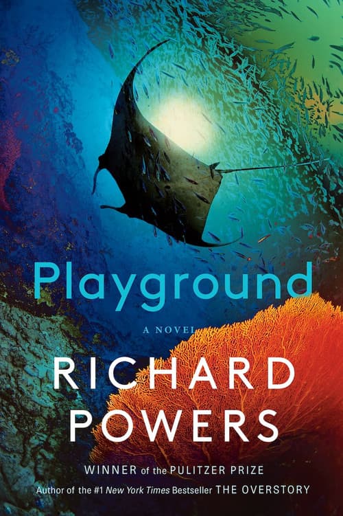 Playground poster