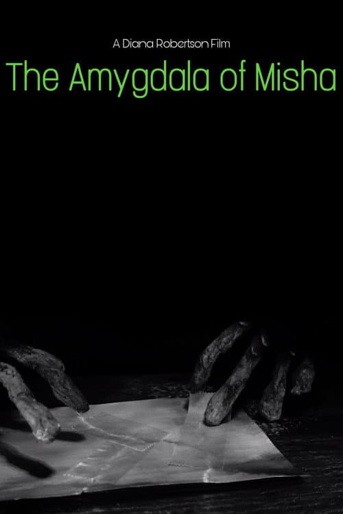 The Amygdala of Misha poster