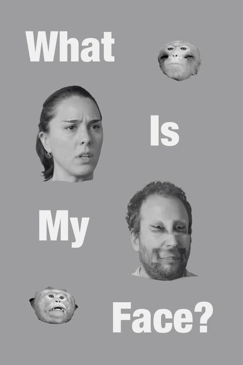 What Is My Face? poster