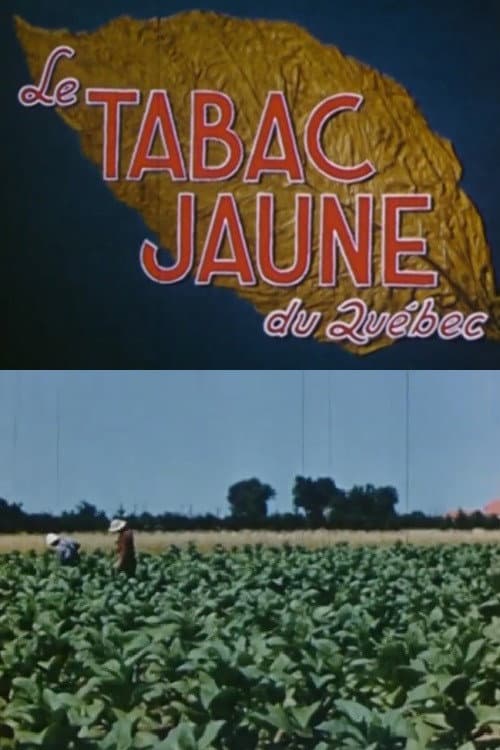 Yellow Tobacco from Quebec poster