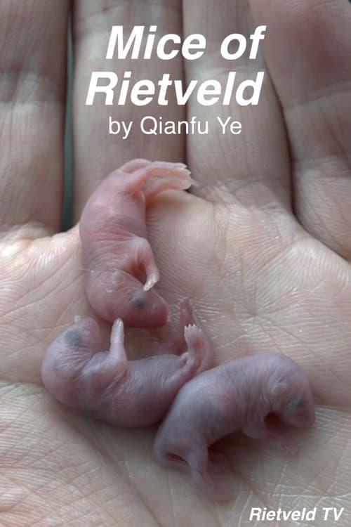 Mice of Rietveld poster