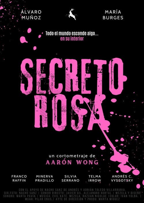 Secreto Rosa poster
