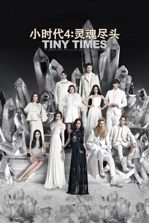Tiny Times 4 poster