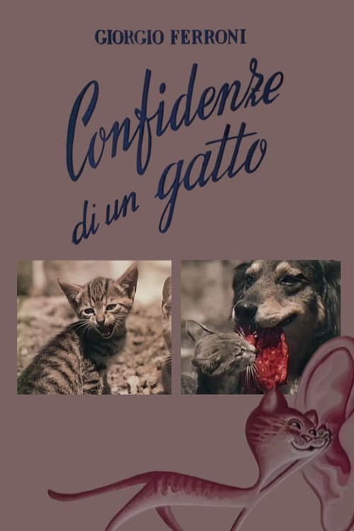 Confidenze di un gatto poster