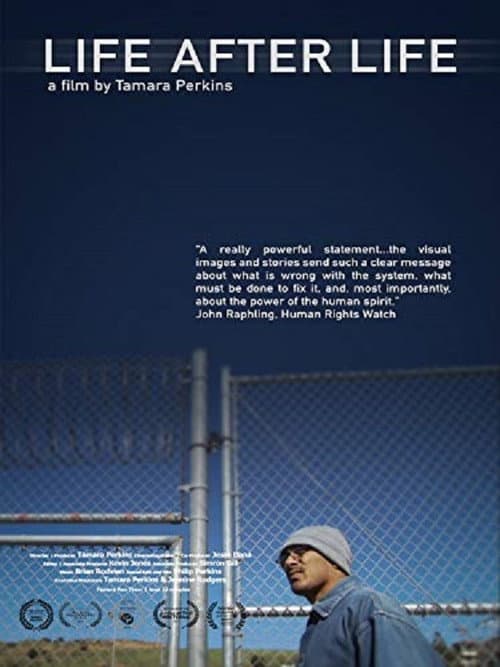 Life After Life poster