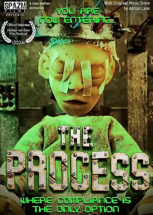The Process poster
