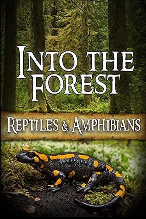 Into the Forest: Reptiles & Amphibians poster