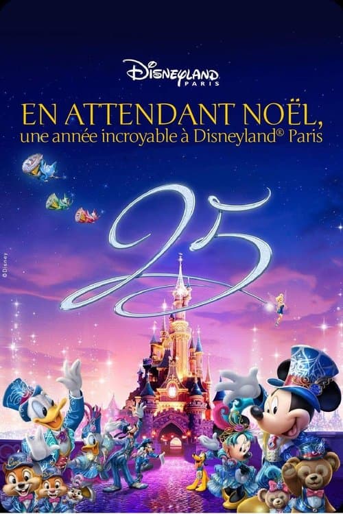 Waiting for Christmas: An Incredible Year at Disneyland Paris poster