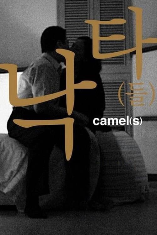 Camel(s) poster
