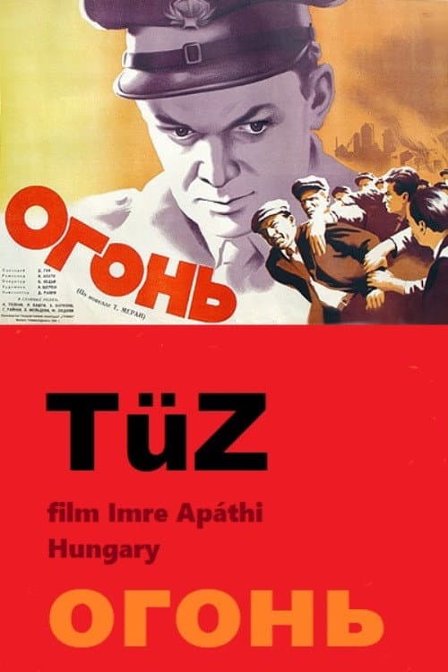 Tüz poster