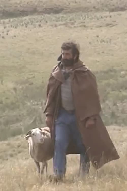 Shepherd and beyond poster