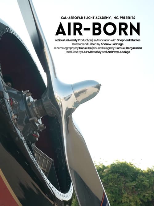 Air-Born poster