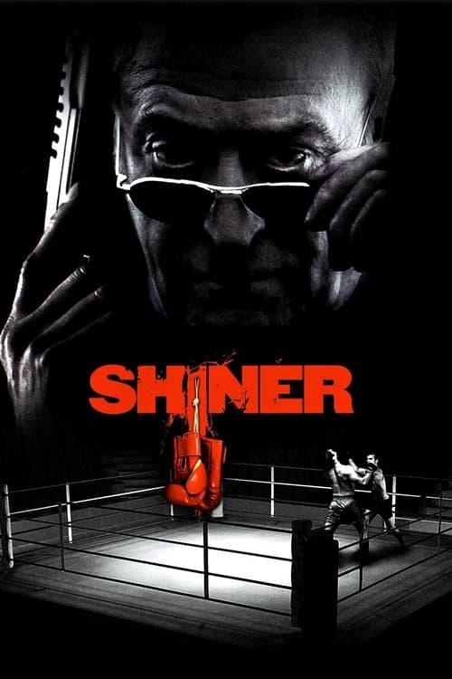 Shiner poster