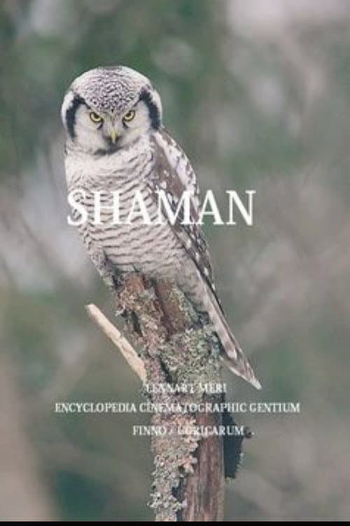 The Shaman poster