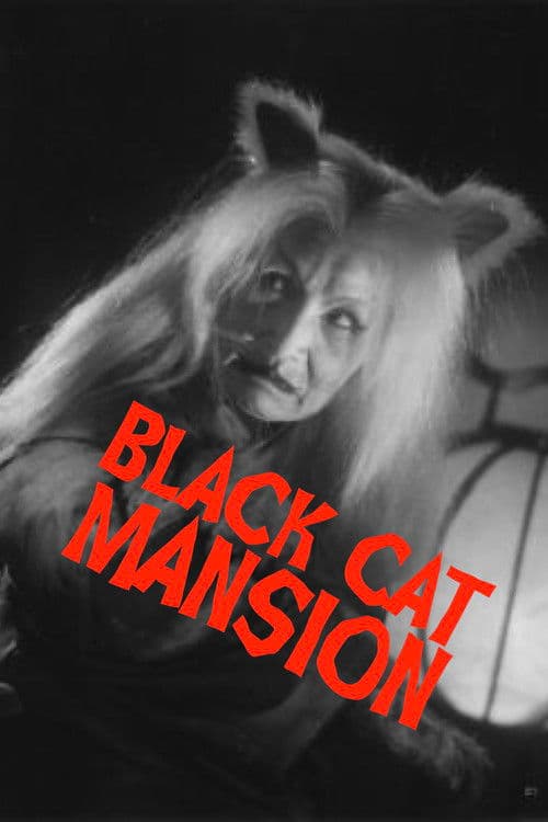 Black Cat Mansion poster