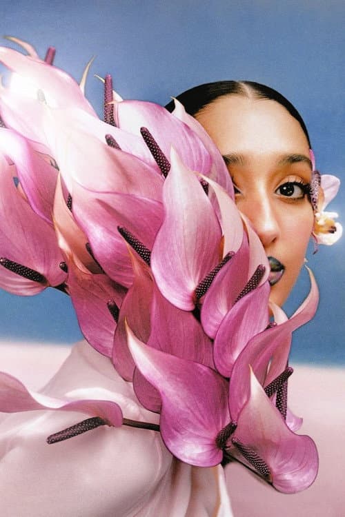 Where The Butterflies Went poster