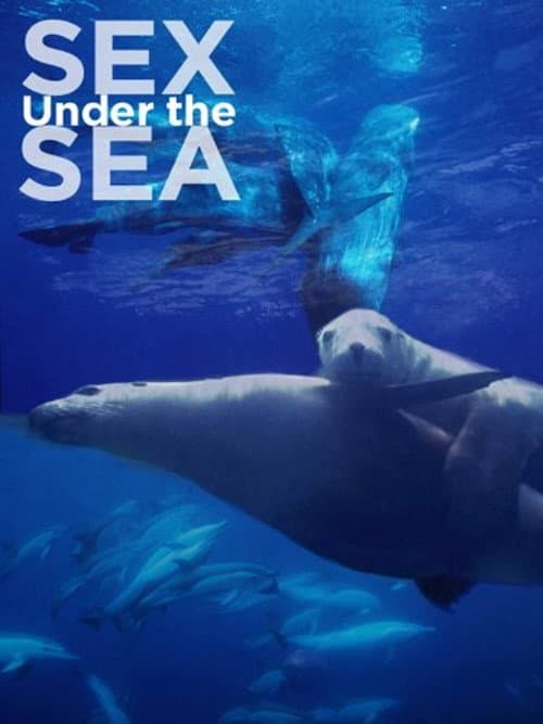 Sexe en Haute Mer poster