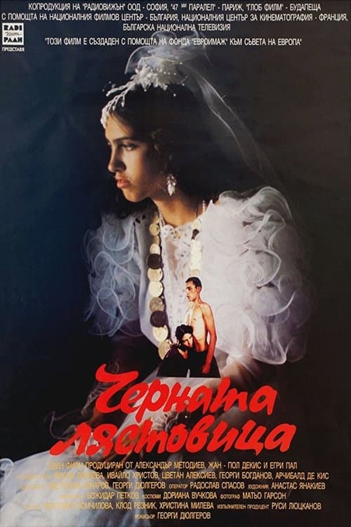 The Black Swallow poster