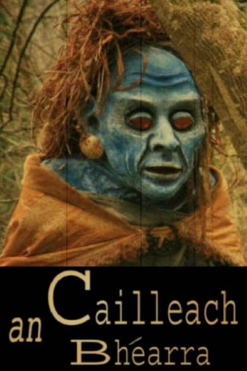 An Cailleach Bhéarra poster