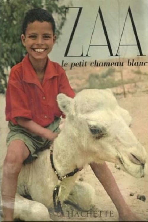 Zaa, the Little White Camel poster