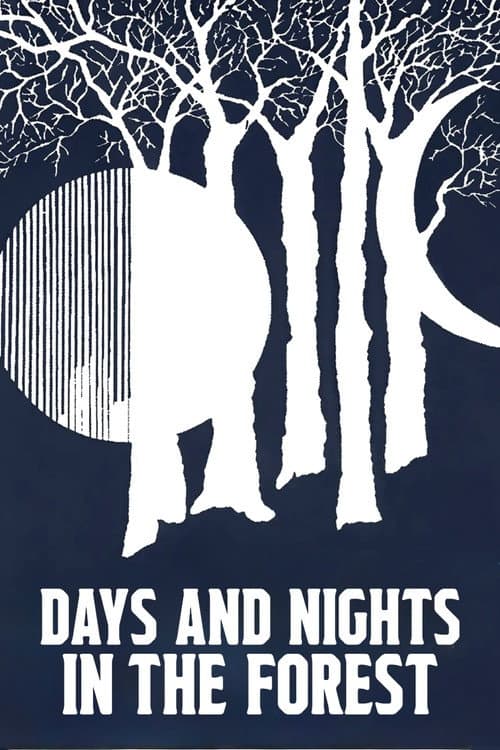 Days and Nights in the Forest poster
