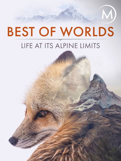 Best of Worlds: Life at its Alpine Limits poster