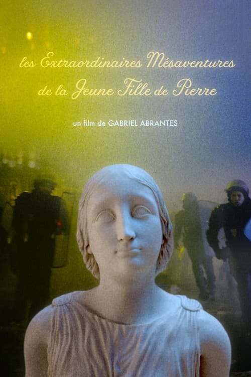 The Marvelous Misadventures of the Stone Lady poster