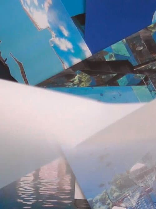 The Taste of the Name poster