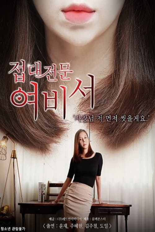 접대전문 여비서 poster